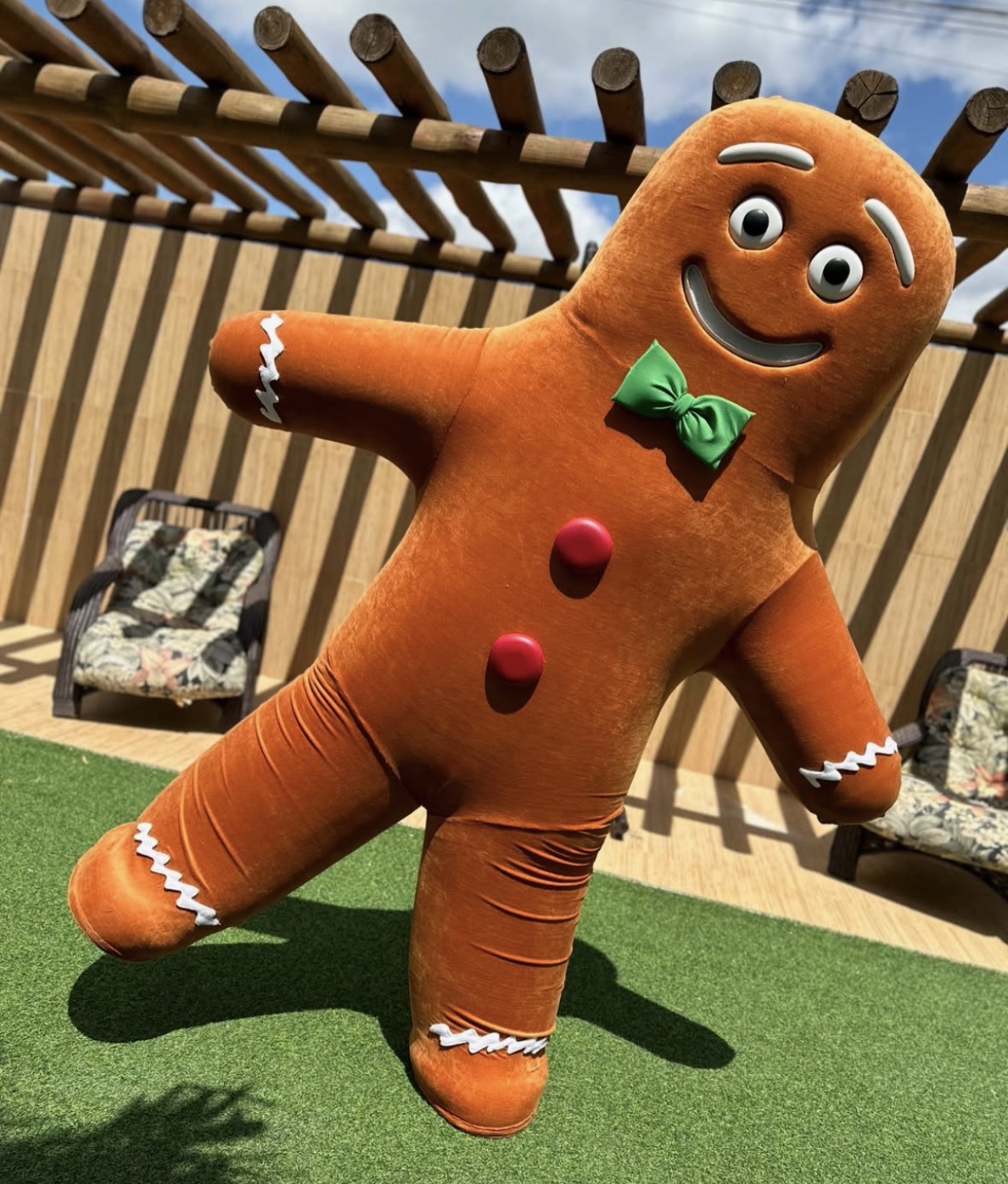 Fantasia de mascote personalizada premium