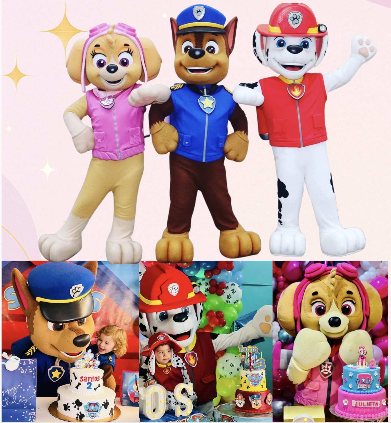 Instagram Mascotes dos Sonhos