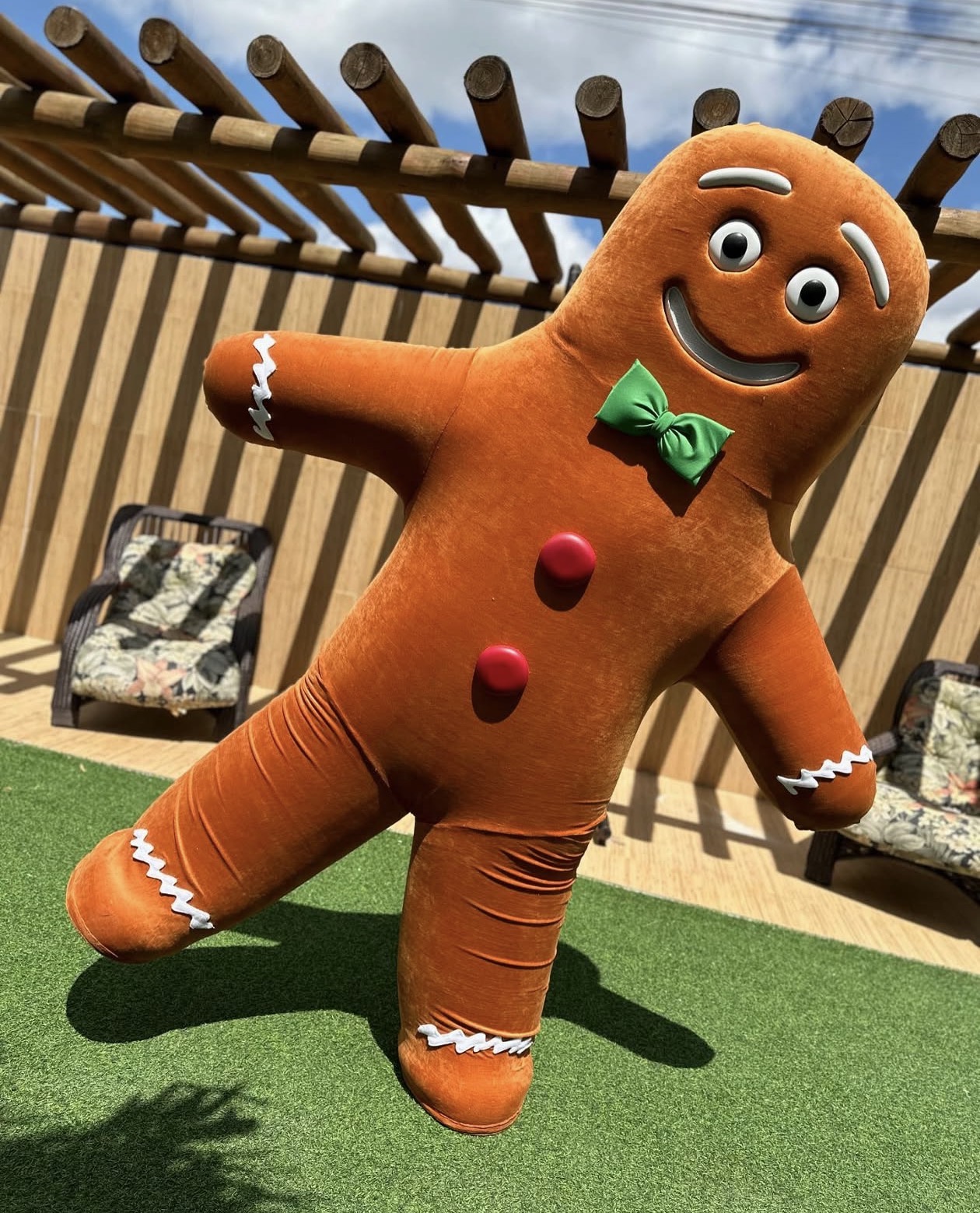 Mascotes premium